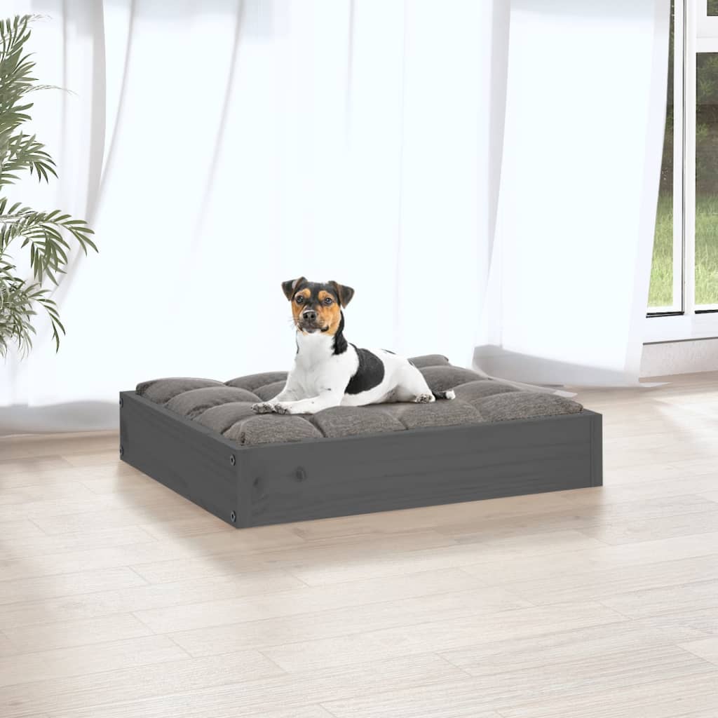 Lit pour chien gris 51,5x44x9 cm en bois de pin massif