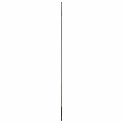 Wandspiegel Golden 80x35 cm Oval