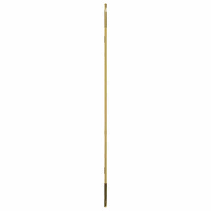 Wandspiegel Golden 90x40 cm Oval