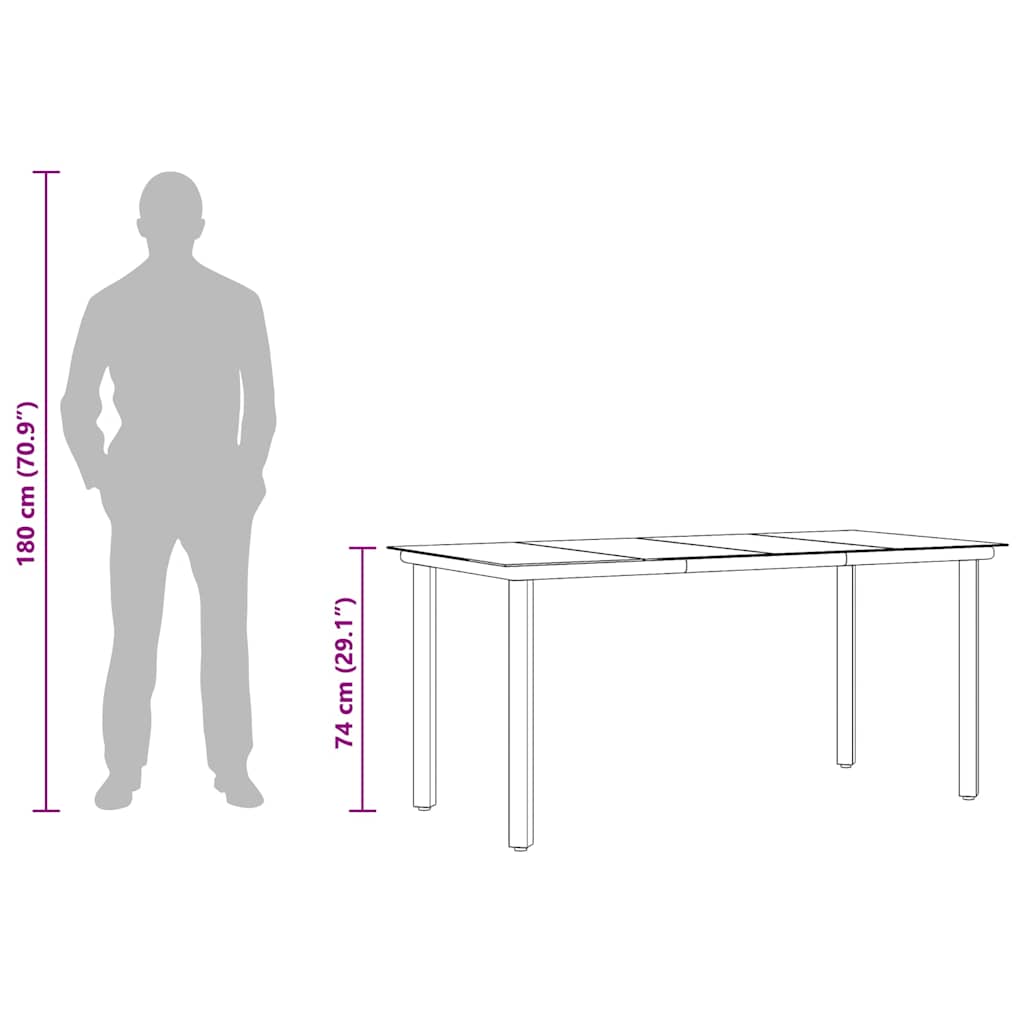 Garten-Esstisch Schwarz 160x80x74 cm Stahl und Hartglas