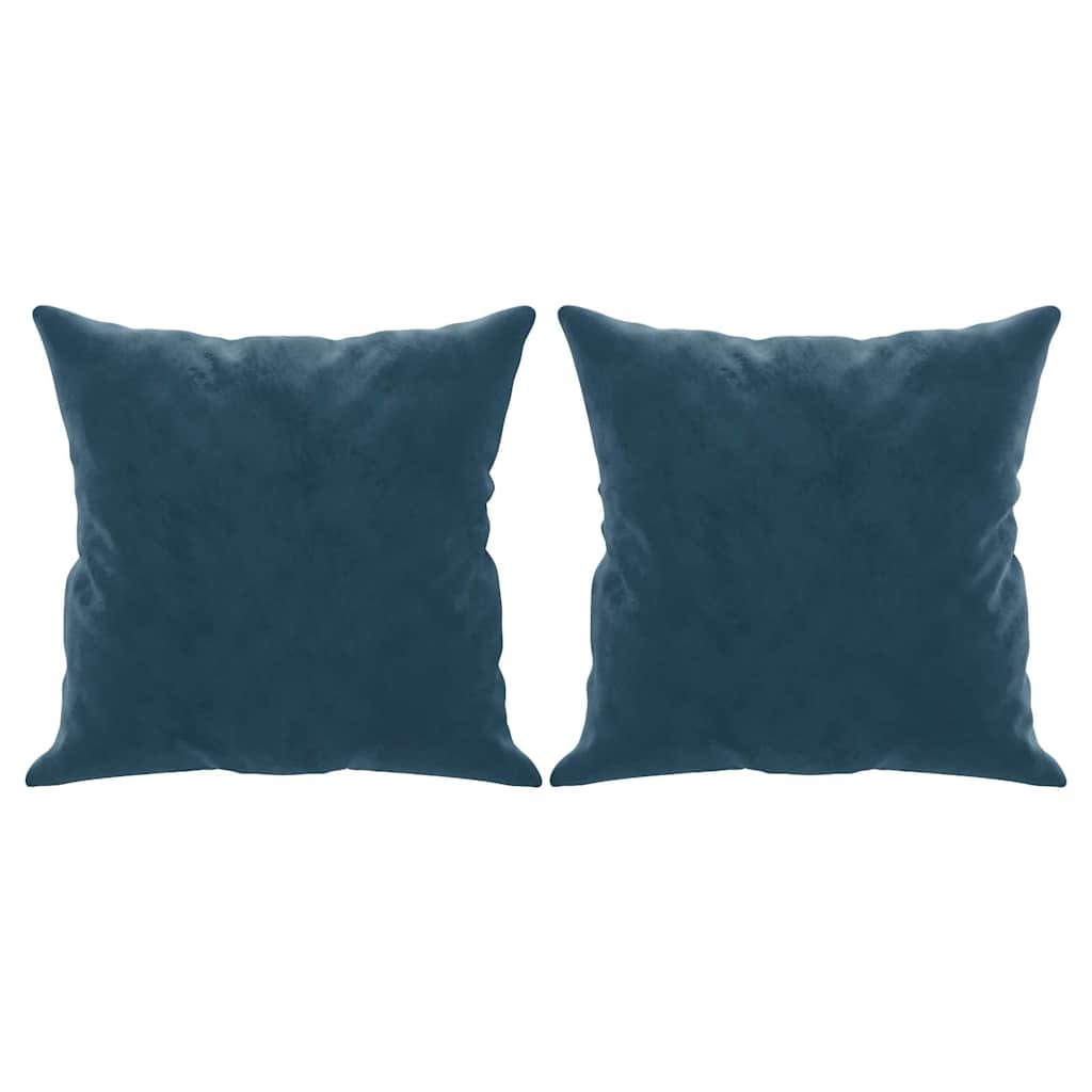Zierkissen 2 Stk. Blau 40x40 cm Samt