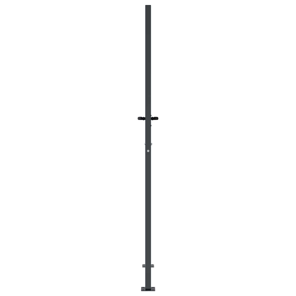 Gartentor Anthrazit 100x175 cm Stahl Gras-Design