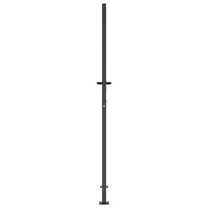 Gartentor Anthrazit 100x175 cm Stahl Gras-Design