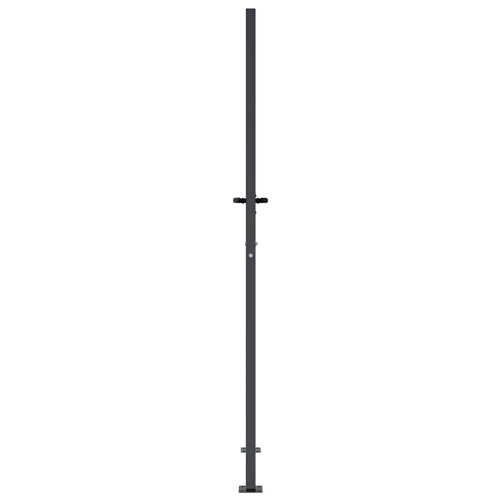 Gartentor Anthrazit 100x200 cm Stahl Gras-Design