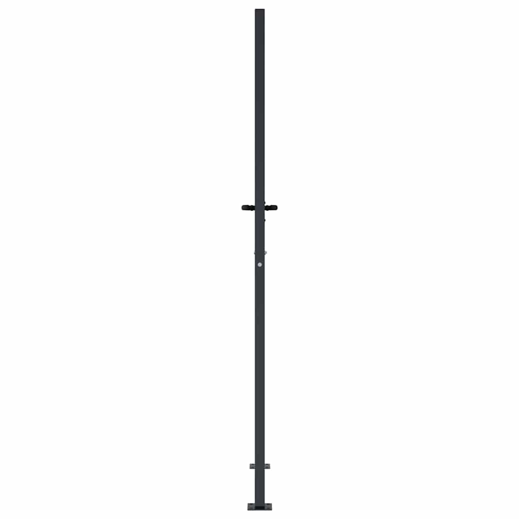 Gartentor Anthrazit 100x200 cm Stahl Bambus-Design