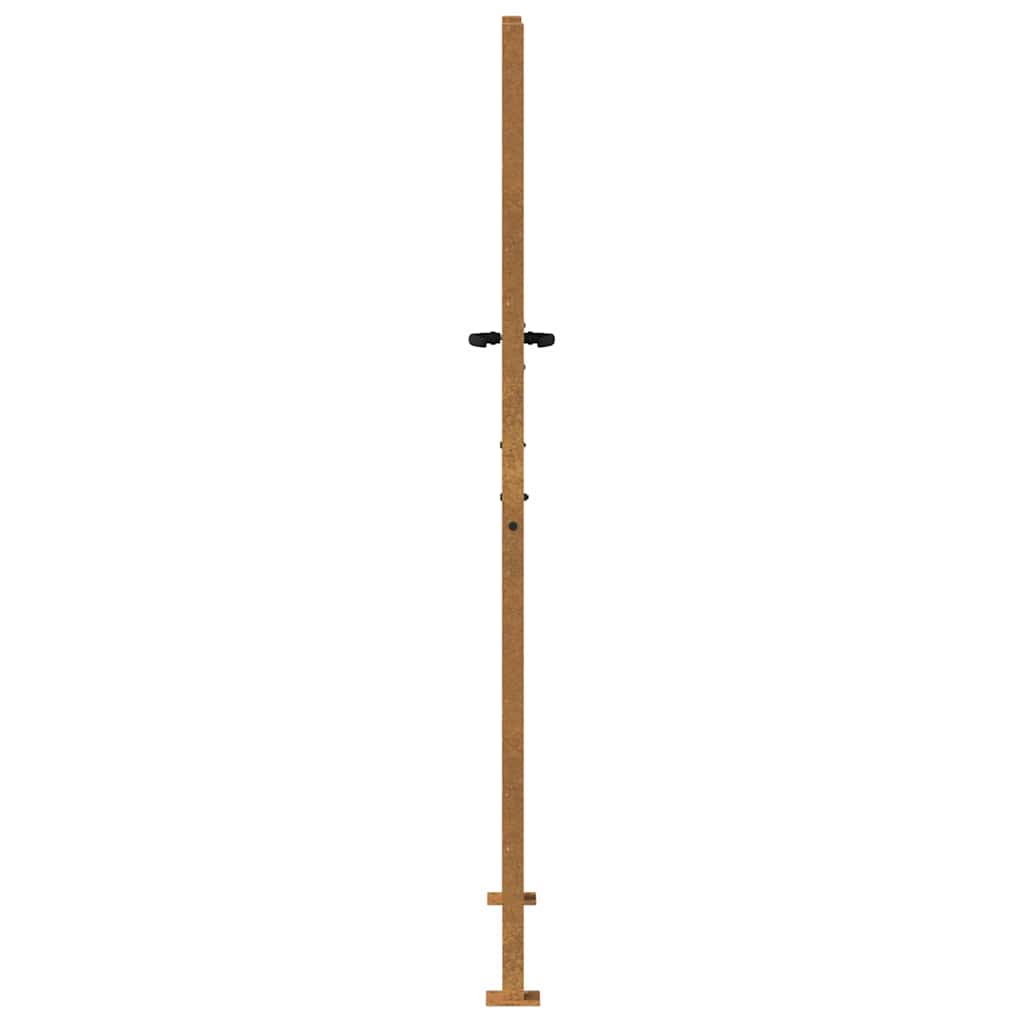 Gartentor 100x200 cm Cortenstahl