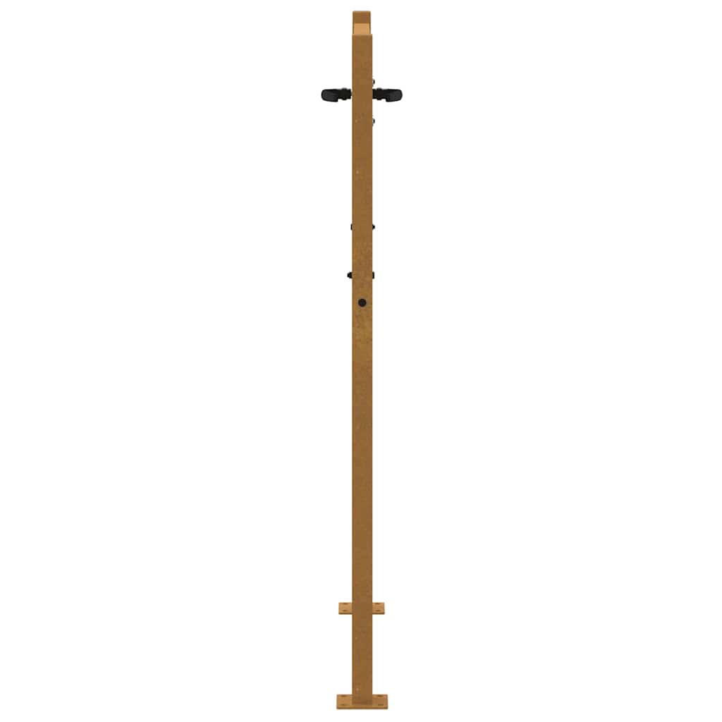 Gartentor 100x150 cm Cortenstahl Gras-Design