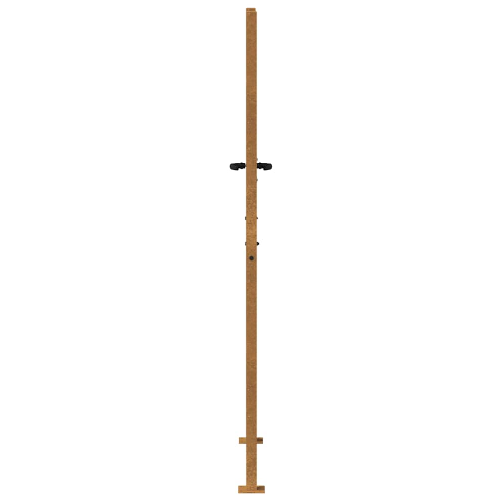 Gartentor 100x175 cm Cortenstahl Gras-Design