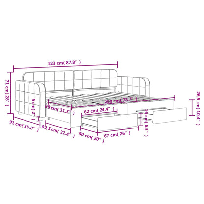 Tagesbett Ausziehbar mit Schubladen Hellgrau 80x200 cm Samt