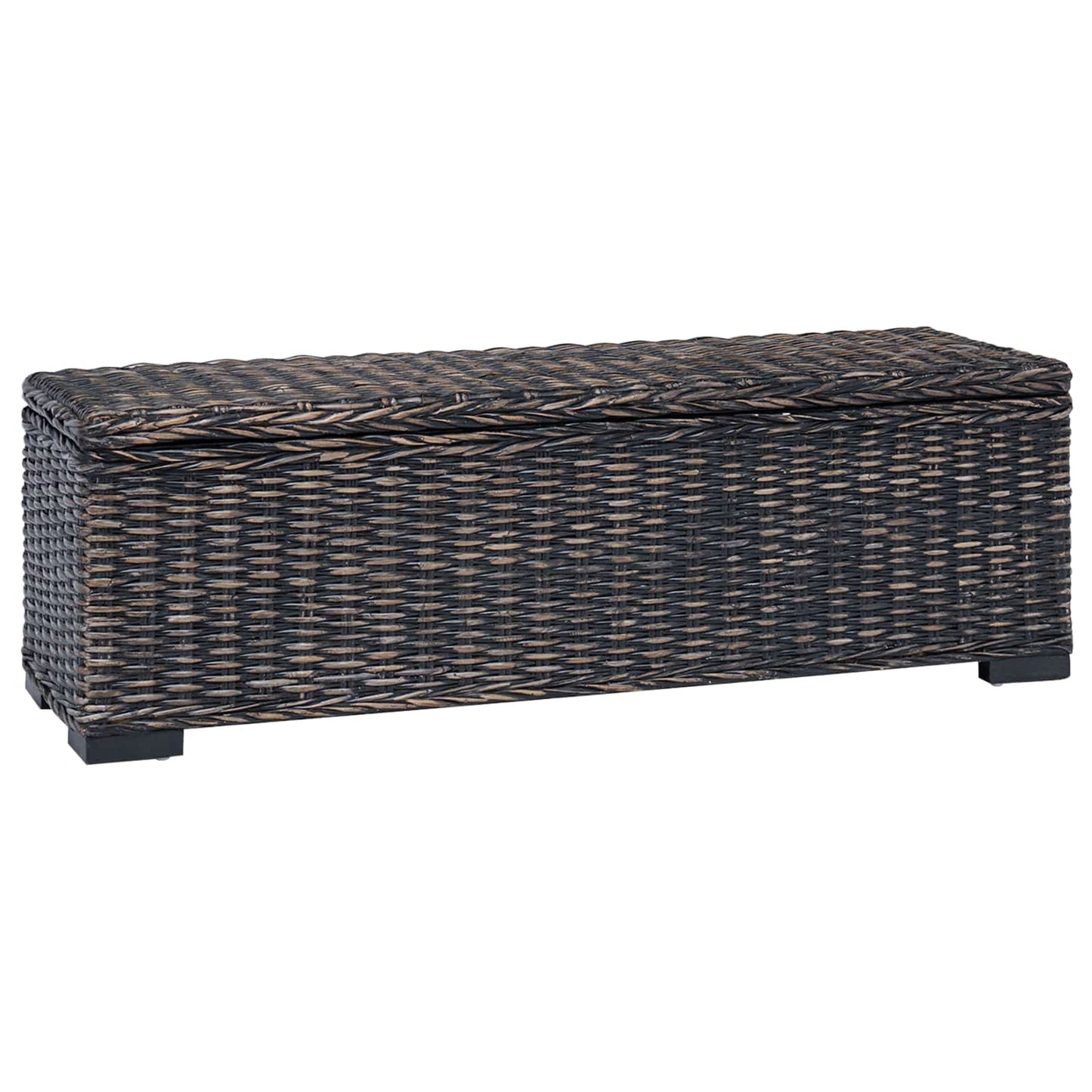 Aufbewahrungsbox mit Speicher Schwarz 110 x 35 x 45 cm