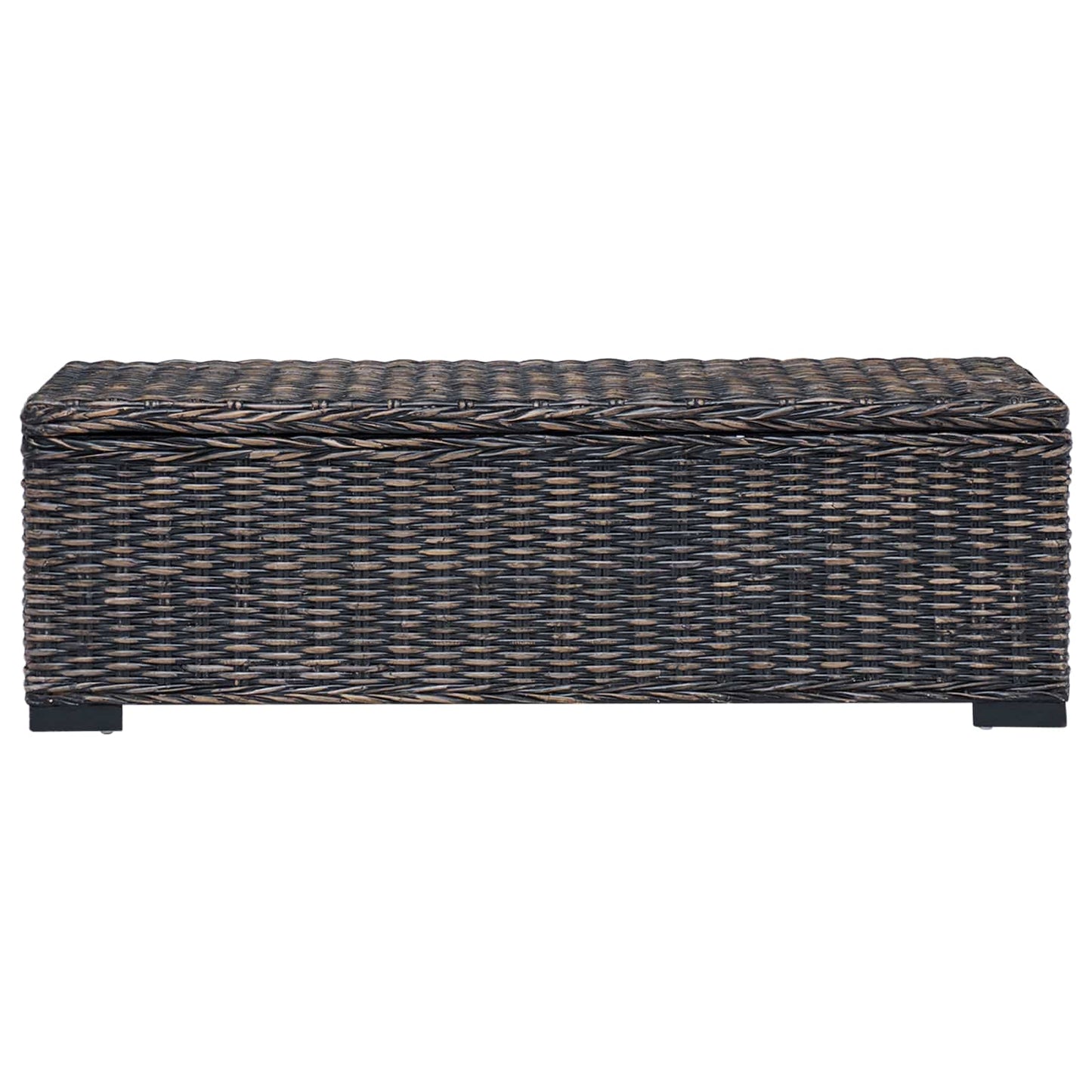 Aufbewahrungsbox mit Speicher Schwarz 110 x 35 x 45 cm