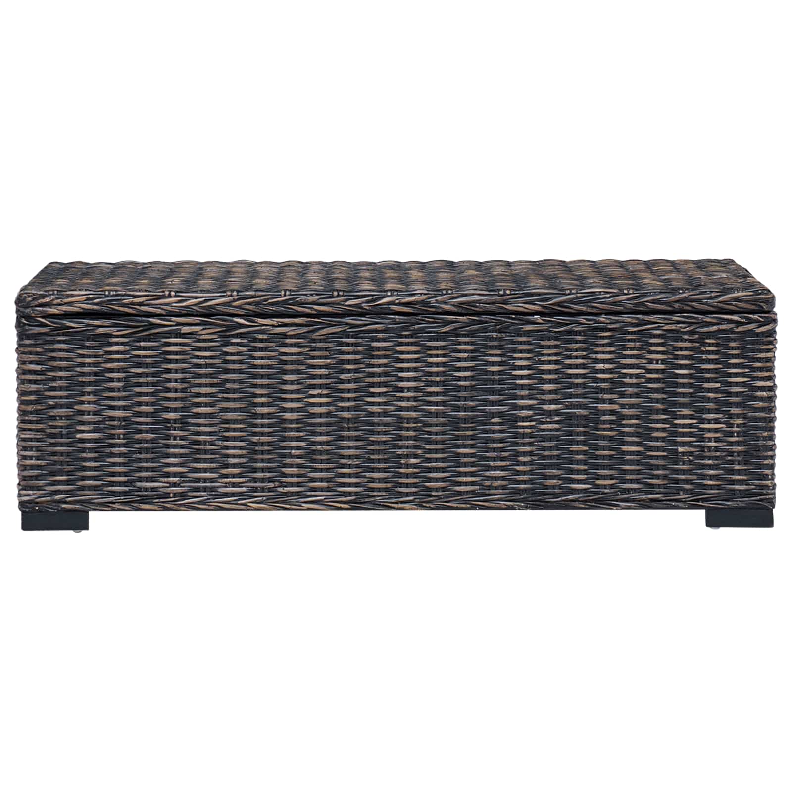 Aufbewahrungsbox mit Speicher Schwarz 110 x 35 x 45 cm