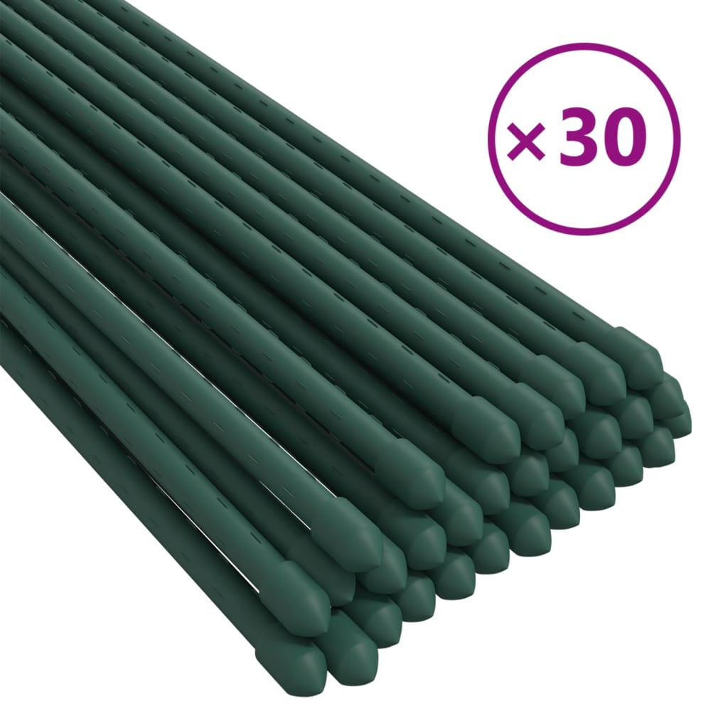 Pflanzenstützen 30 Stk. Grün 180 cm Stahl