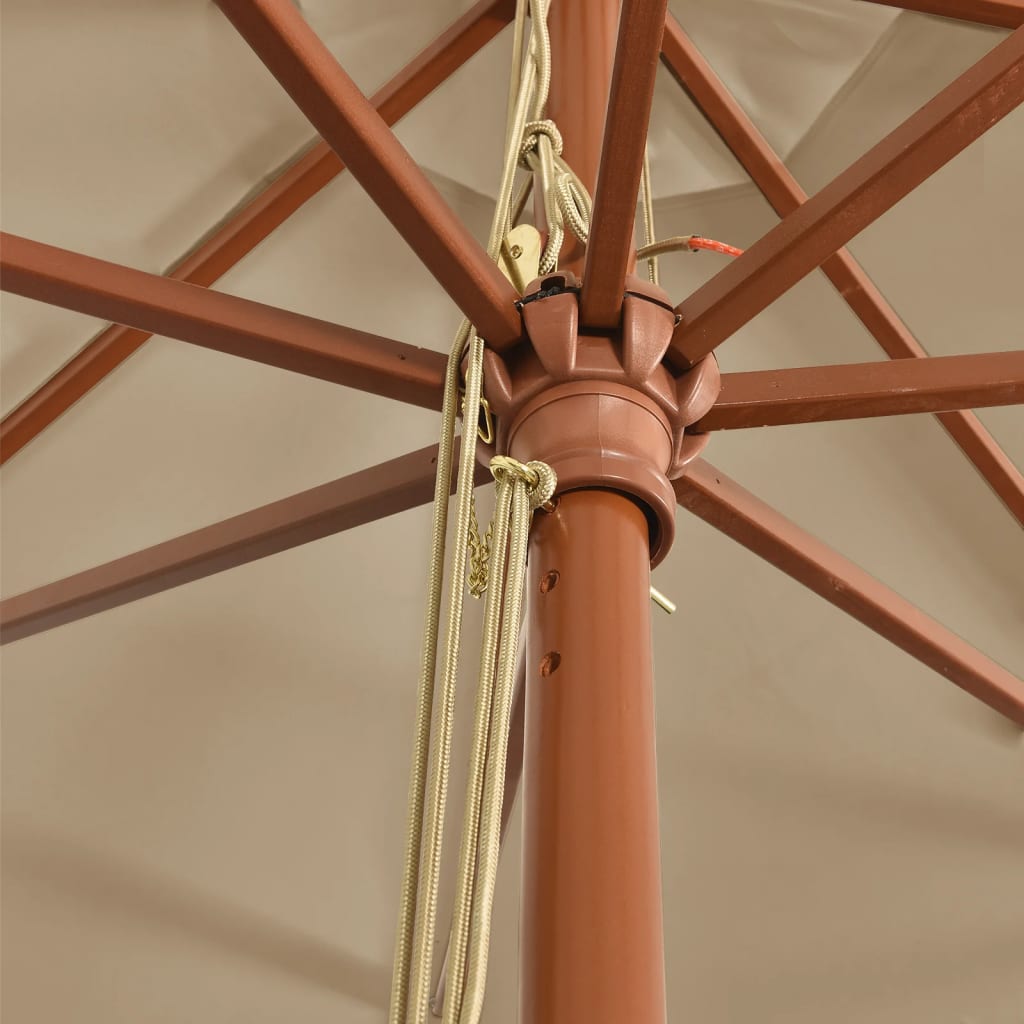 Sonnenschirm mit Holzmast Taupe 400x273 cm
