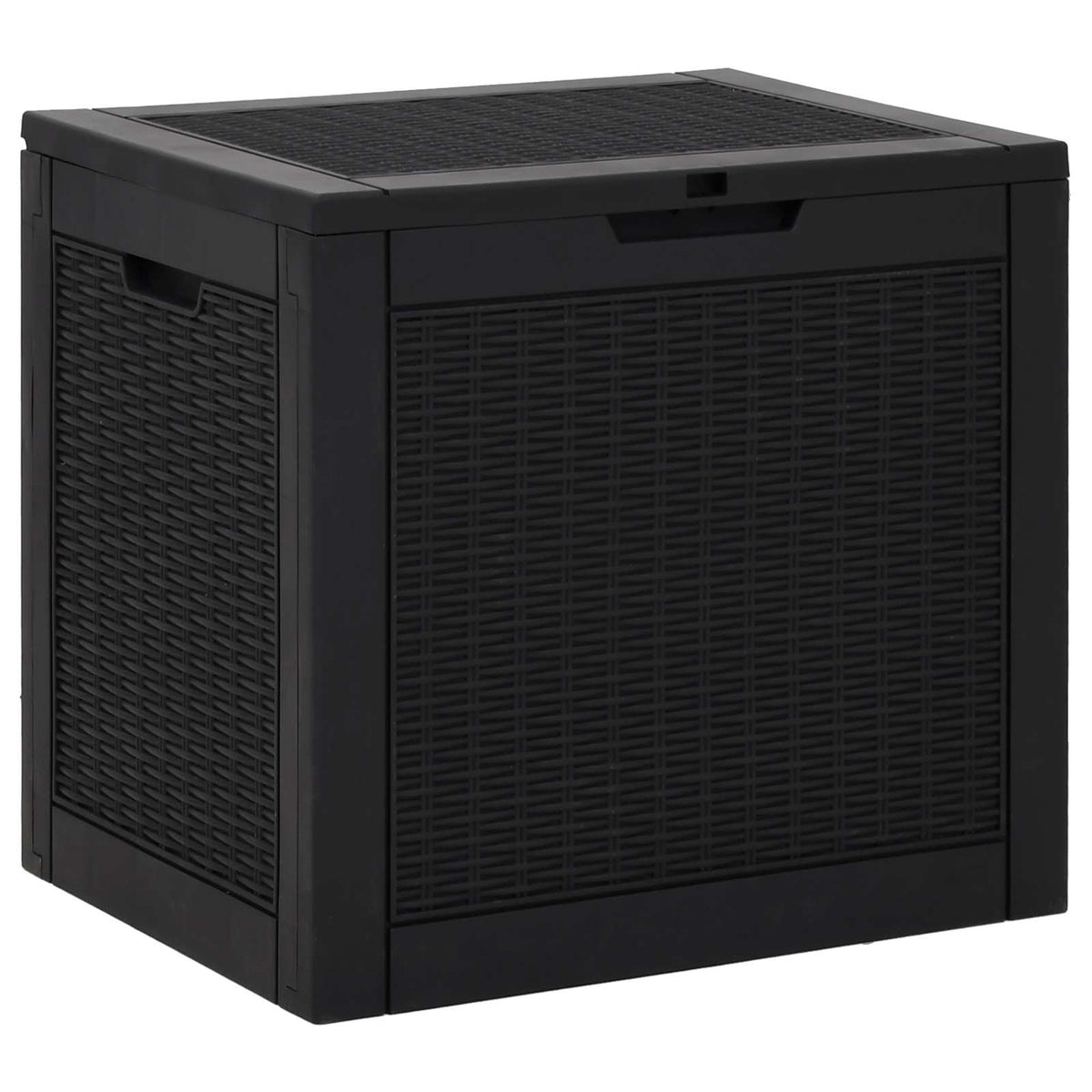 Gartenbox Schwarz 55,5x43x53 cm Polypropylen