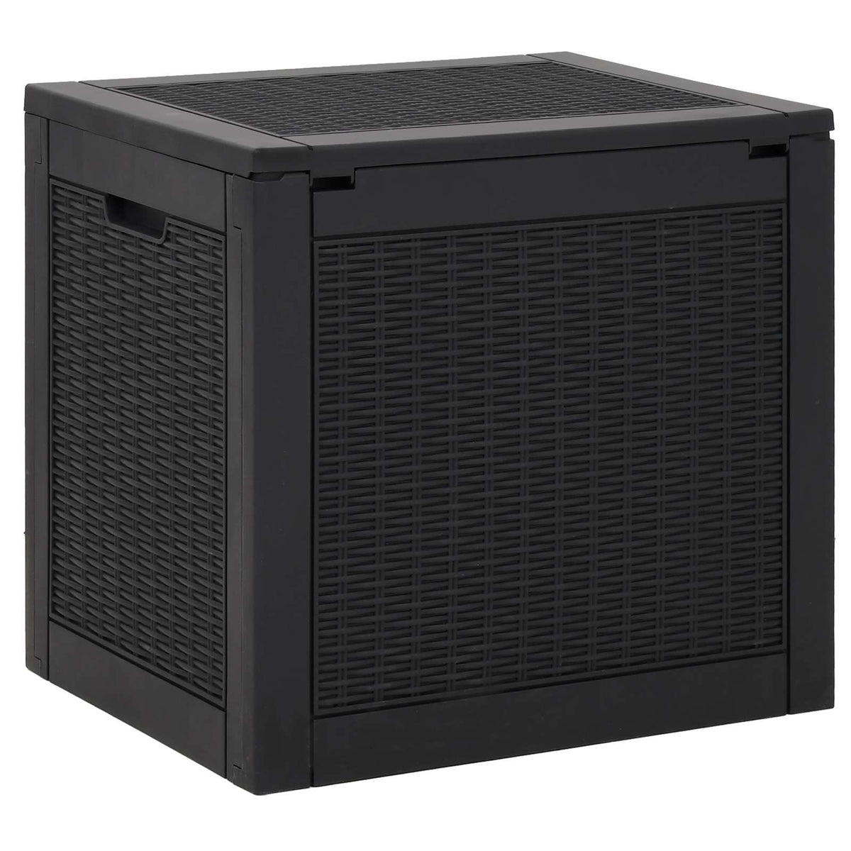 Gartenbox Schwarz 55,5x43x53 cm Polypropylen