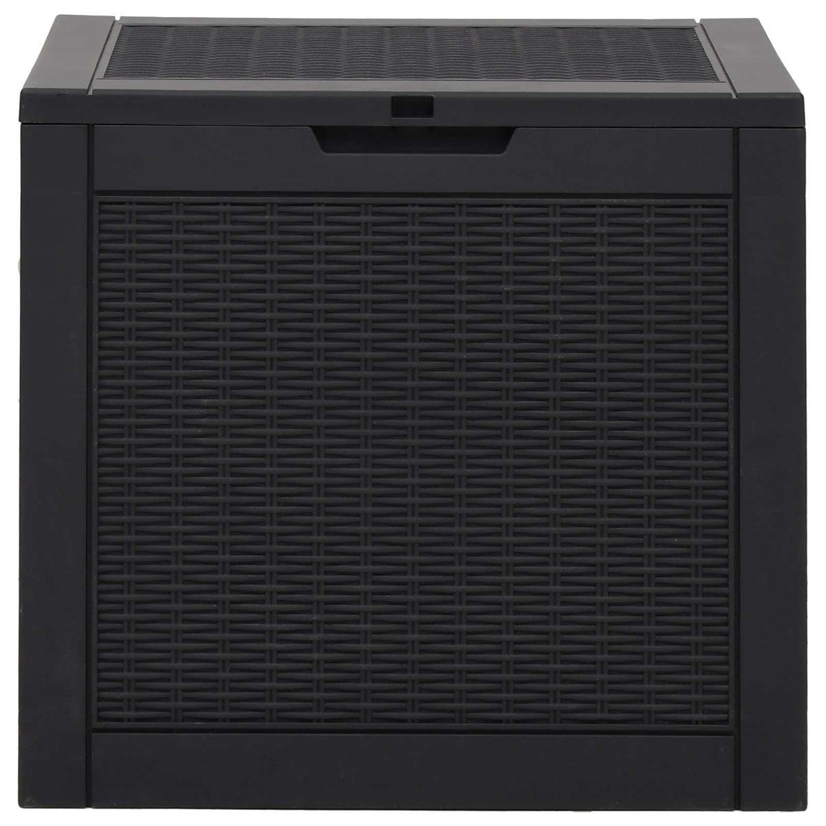 Gartenbox Schwarz 55,5x43x53 cm Polypropylen