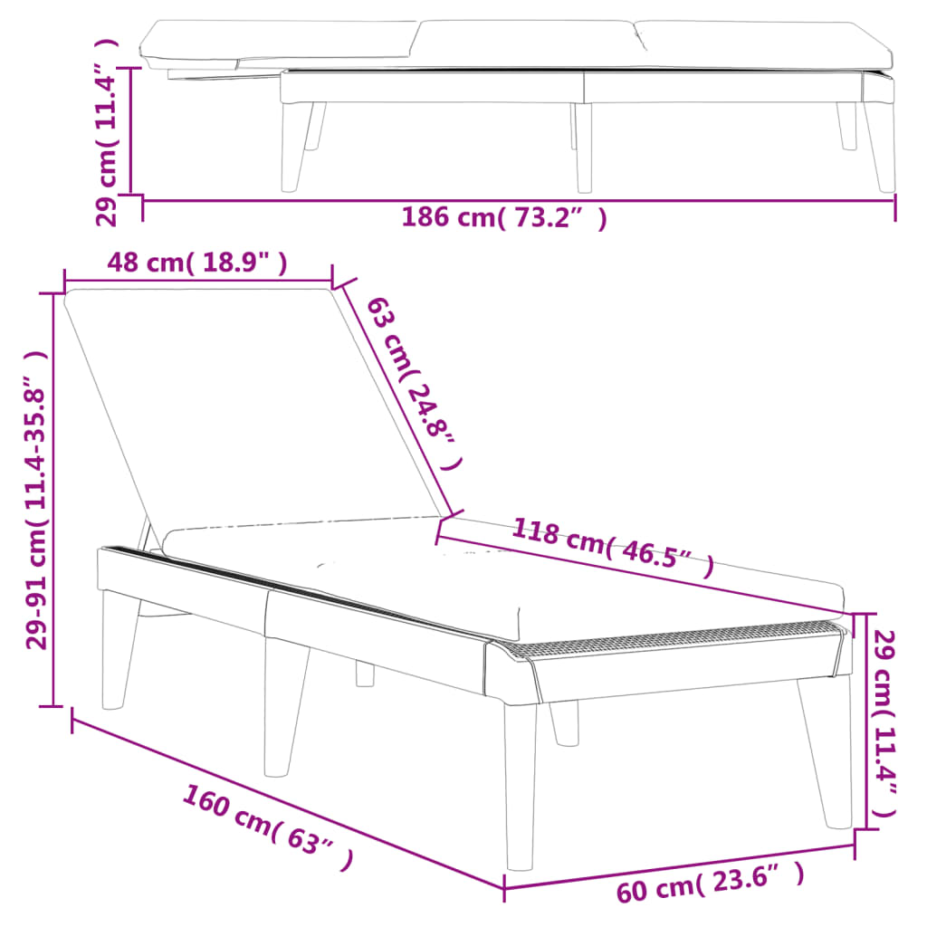 Bain de soleil avec coussin anthracite 186x60x29 cm PP