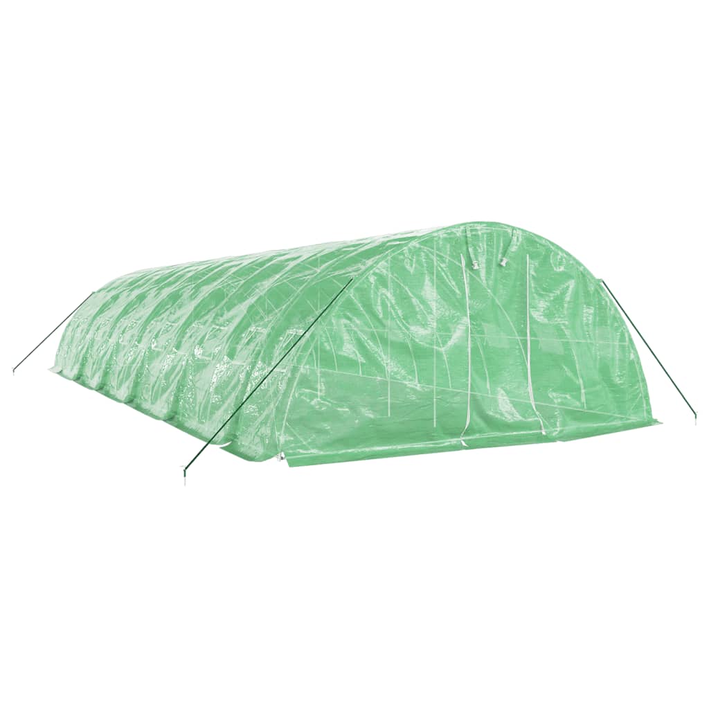 Greenhouse with steel frame Green 60 m² 12x5x2.3 m