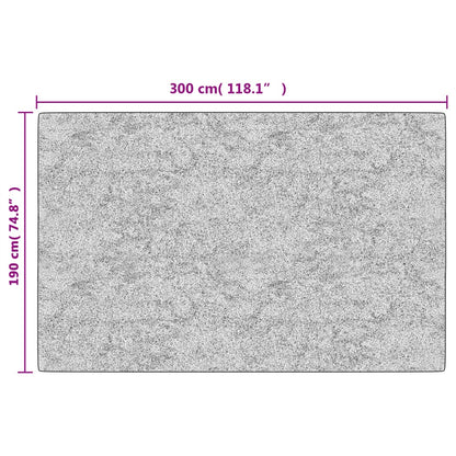 Teppich Waschbar Mehrfarbig 190x300 cm