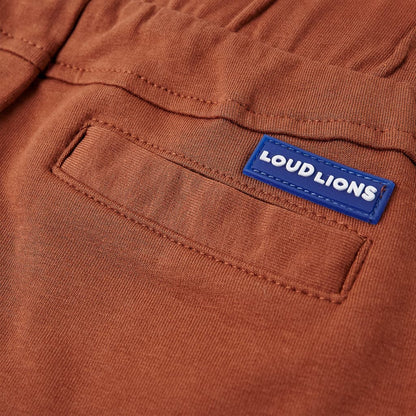 Kindershorts mit Kordelzug Braun 104