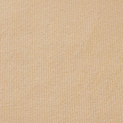 Kinder-Schlafsofa 2-Sitzer Creme Weicher Plüsch