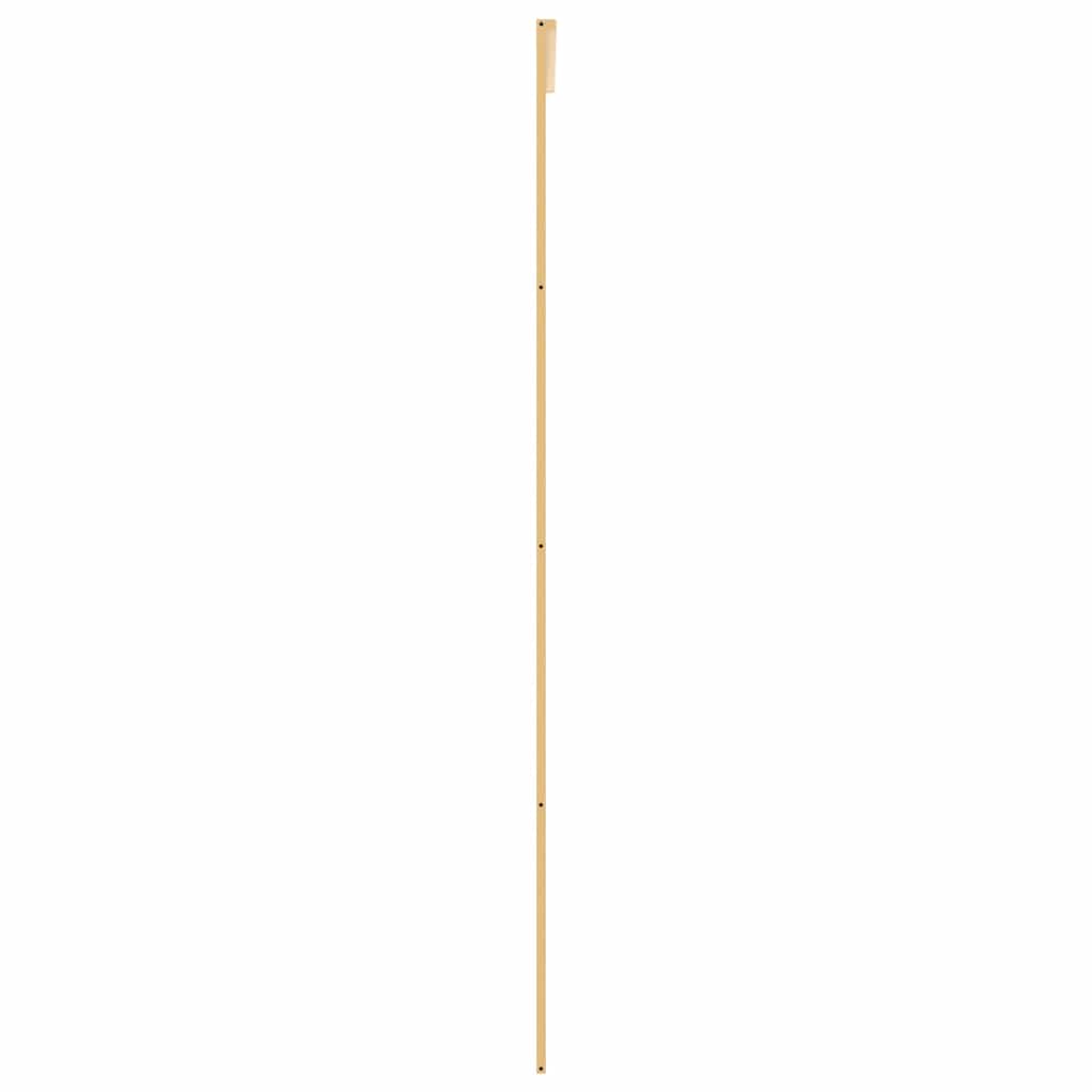 Schiebetür Golden 90x205 cm ESG-Klarglas und Aluminium
