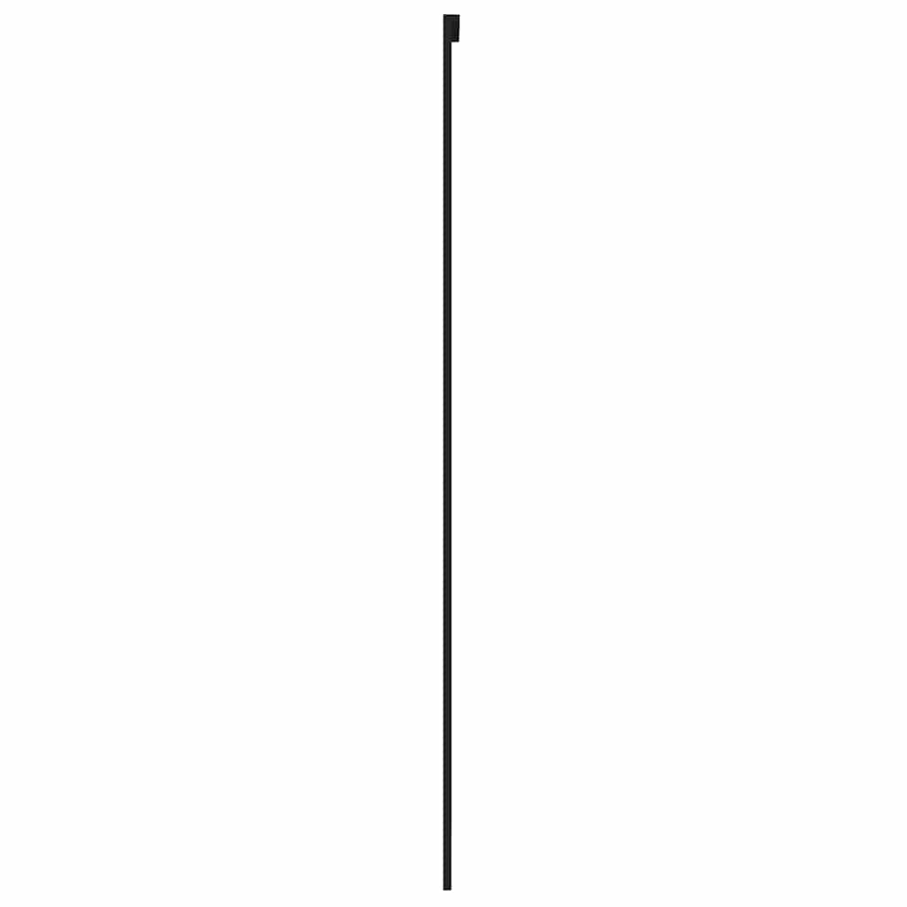 Schiebetür Schwarz 76x205 cm Hartglas und Aluminium