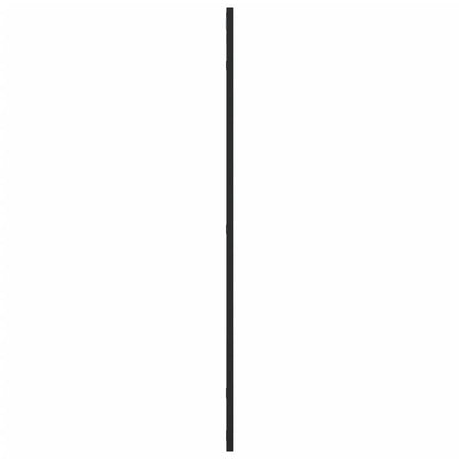 Wandspiegel Schwarz 50x100 cm Rechteckig Eisen