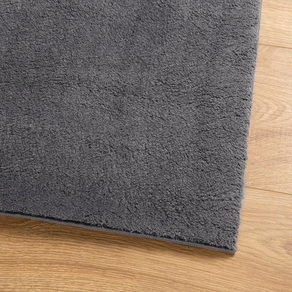Teppich HUARTE Kurzflor Weich und Waschbar Anthrazit 160x160 cm