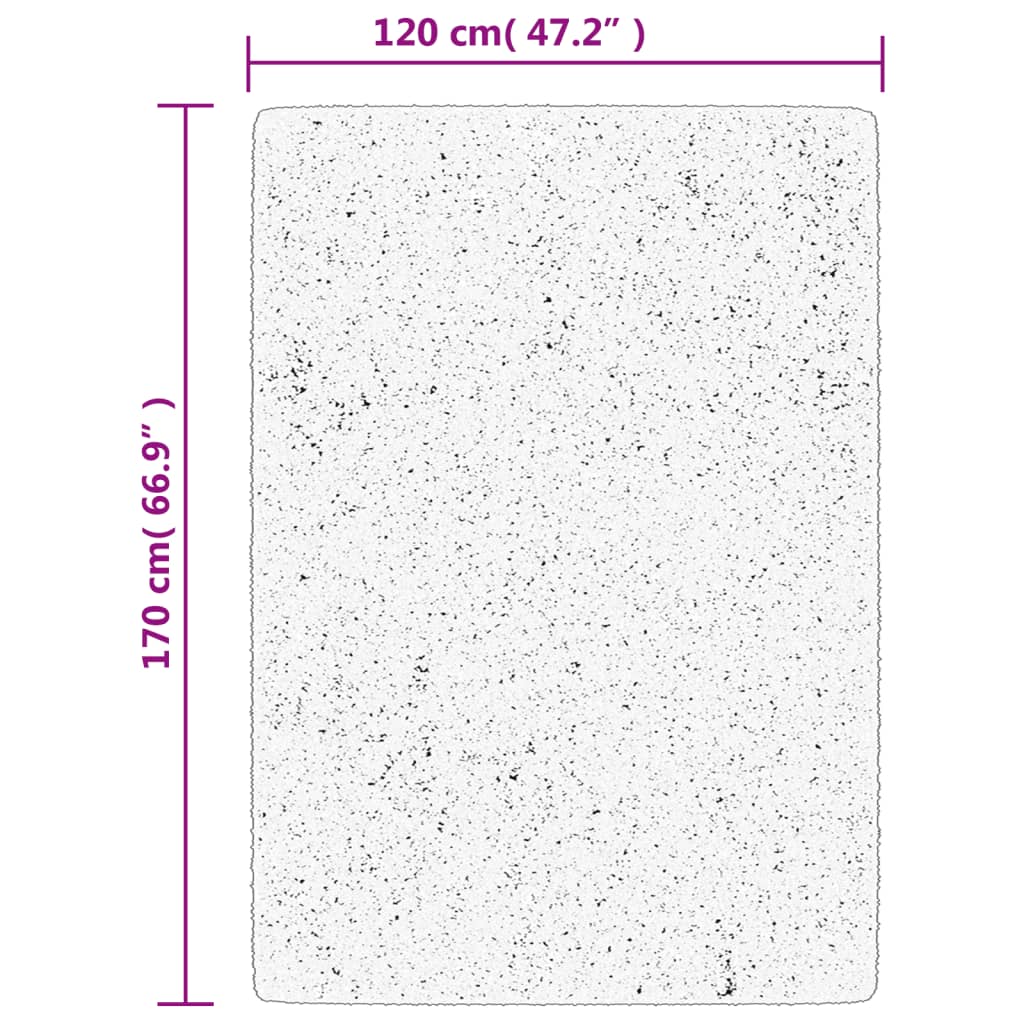 Shaggy Carpet PAMPLONA Deep Pile Modern Grey 120x170 cm