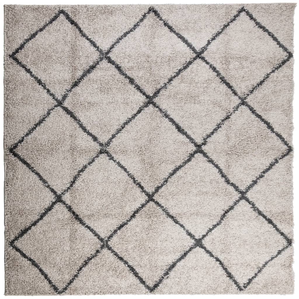 Tapis Shaggy poils longs moderne beige anthracite 120x120 cm