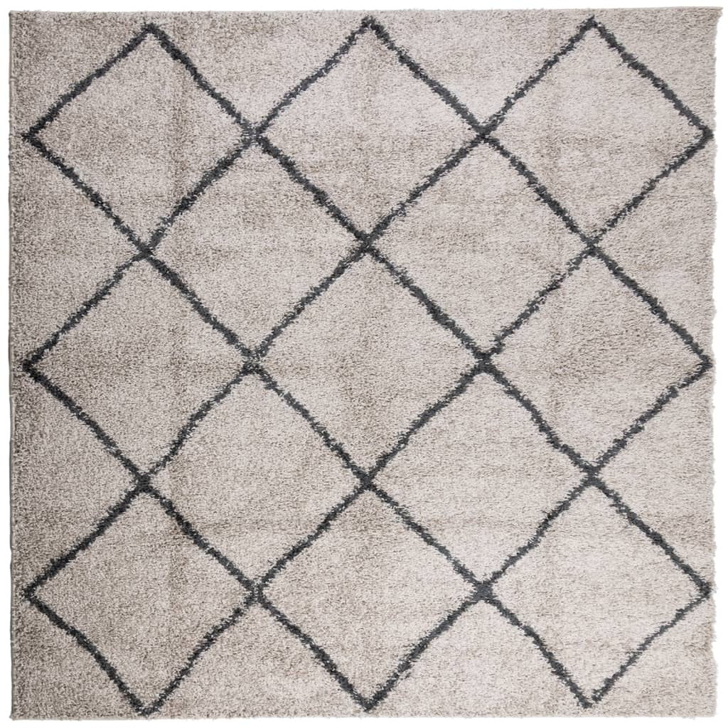 Tapis Shaggy poils longs moderne beige anthracite 240x240 cm