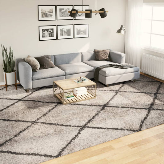 Shaggy-Teppich Hochflor Modern Beige Anthrazit 300x400 cm