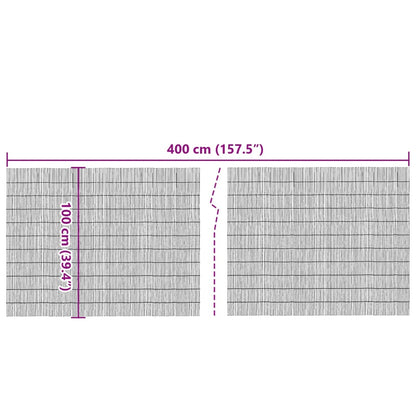 Gartenzaun 400x100 cm Schilf