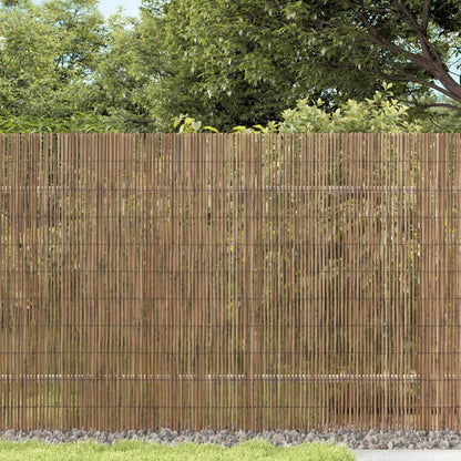 Gartenzaun 400x100 cm Schilf