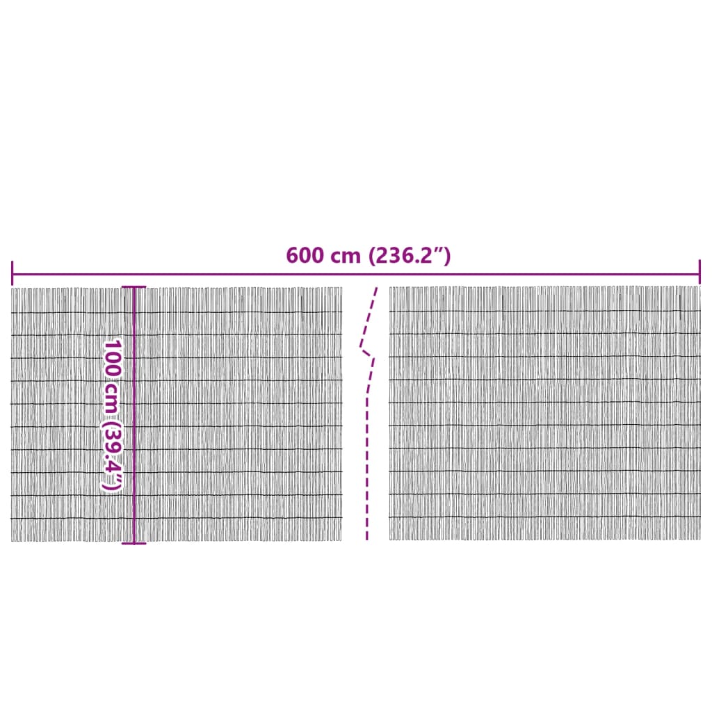 Gartenzaun 600x100 cm Schilf