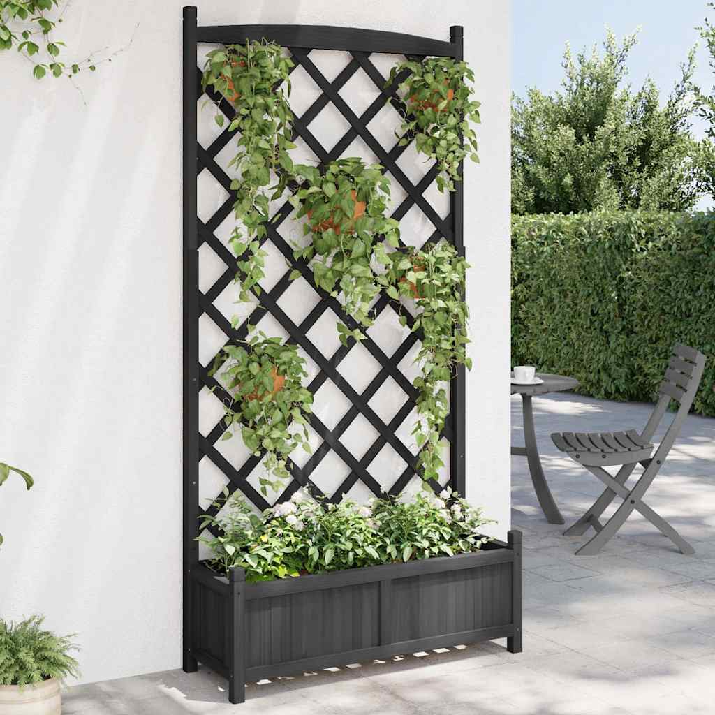 Pflanzkübel mit Spalier Schwarz 90x35x180 cm Massivholz Tanne