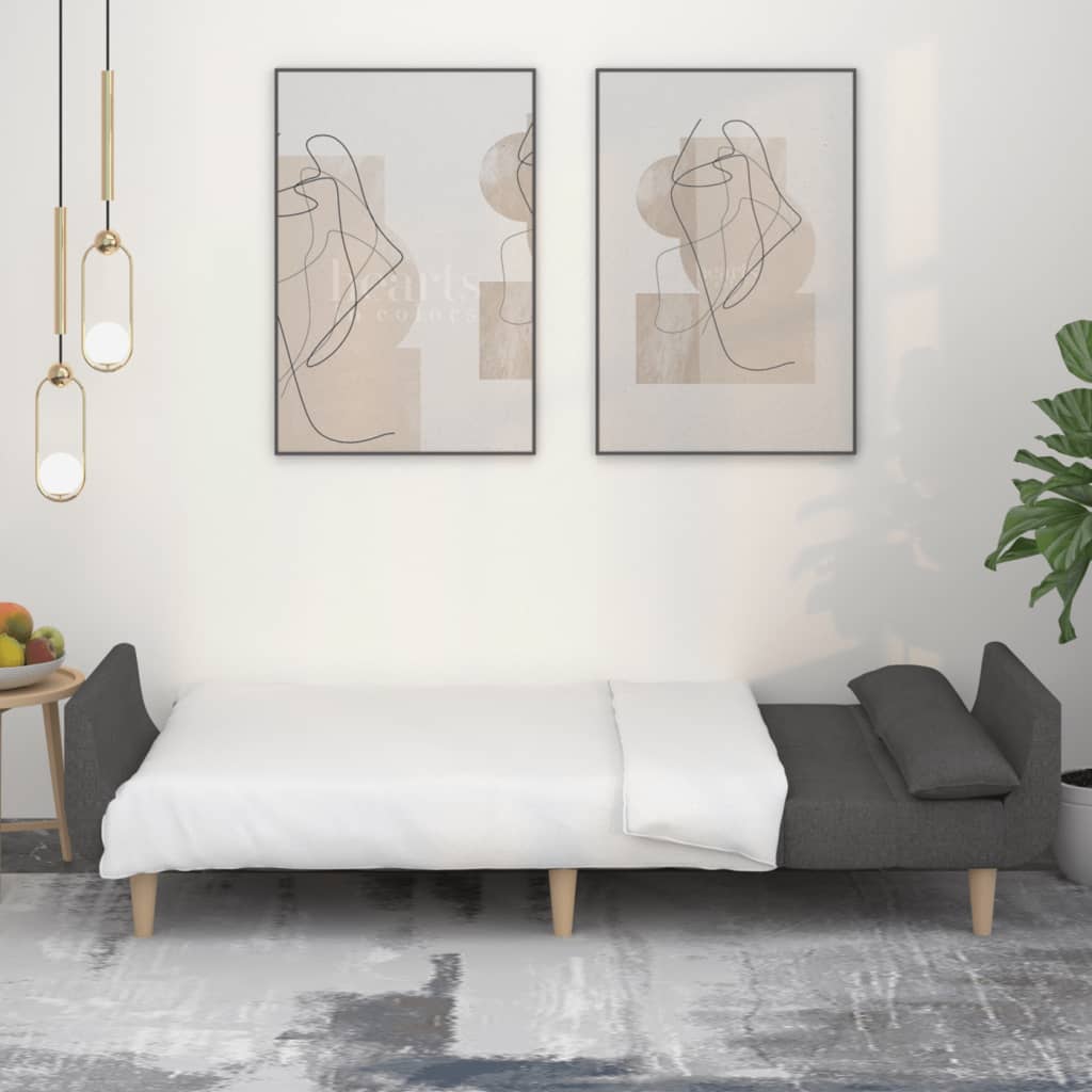 Canapé lit 2 places avec 2 coussins tissu gris foncé