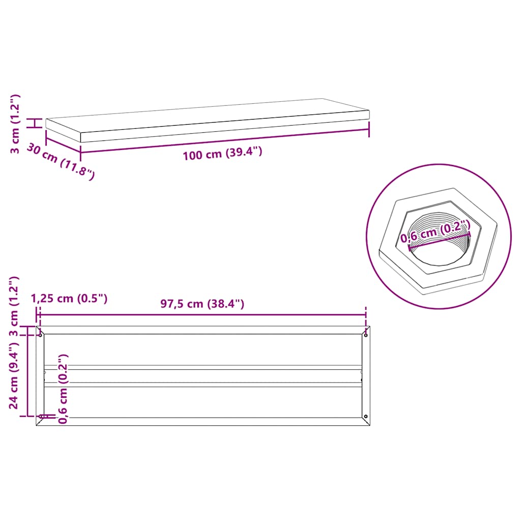 Wandregale 2 Stk. 100x30 cm Schwarz Edelstahl