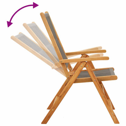 Klappstühle, 2 Stück, grau, Massivholz Akazie und Polypropylen