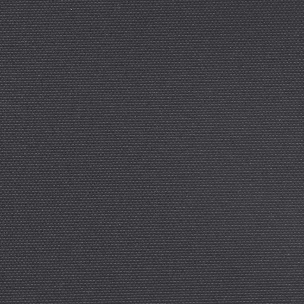 Seitenmarkise Ausziehbar Schwarz 220x300 cm
