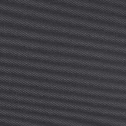 Seitenmarkise Ausziehbar Schwarz 220x600 cm