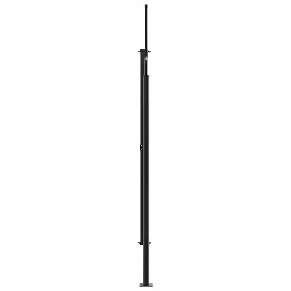 Seitenmarkise Ausziehbar Taupe 220x600 cm