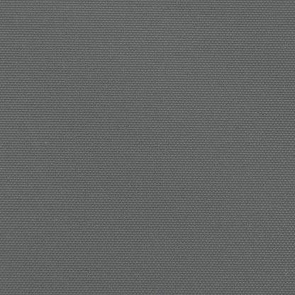Seitenmarkise Ausziehbar Anthrazit 160x1000 cm
