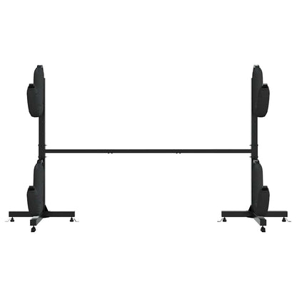 Lagerregal für 2 Kajaks 250x57x127,5 cm Stahl