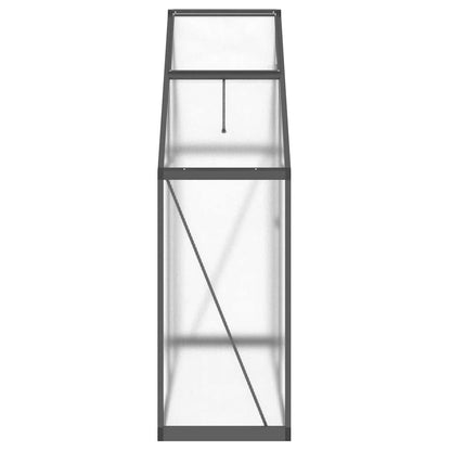 Gewächshaus mit Fundamentrahmen Anthrazit 169x58x195 cm Alu