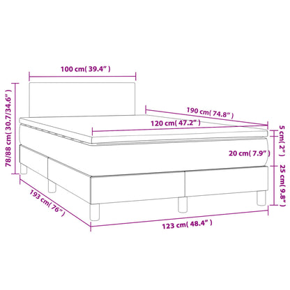 Boxspringbett mit Matratze Dunkelgrau 120x190 cm Samt
