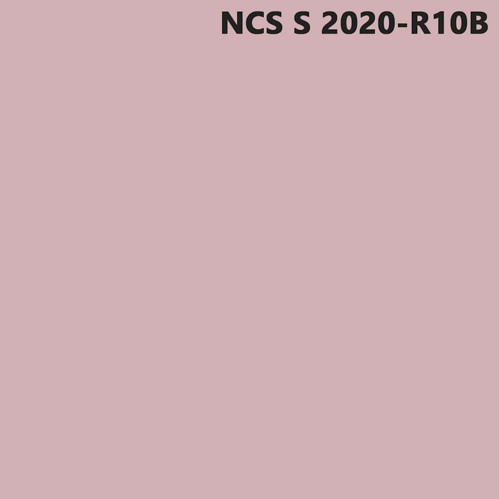 Wandfarbe Rosa 2,5 L Wall Print