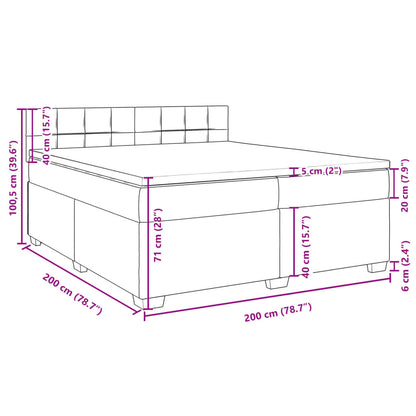 Boxspringbett mit Matratze Hellgrau 200x200 cm Samt
